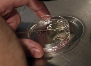  Embryologist Rick Slifkin demonstrates fertilization techniques on a nonviable embryo at Reproductive Medicine Associates of New York, in New York.