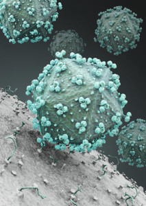 HIV virus attacking cell.