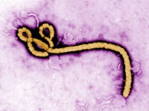 Ebola-2