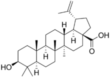 Combating bacteria via silver-dammar coating 3 Chemical structure of the triterpenoid betulinic acid