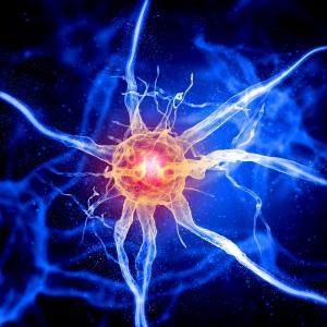 Protein mimic shows promise as tissue engineering glue* 2 Copyright : 123rf.com