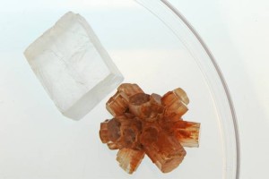 MIT-Calcium-Ocean-01