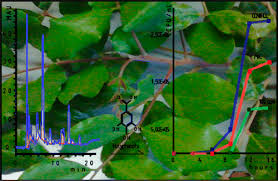 Mechanobiology provides insight into disease and healing processes* 2 Copyright : Dr Larisa Bulavina