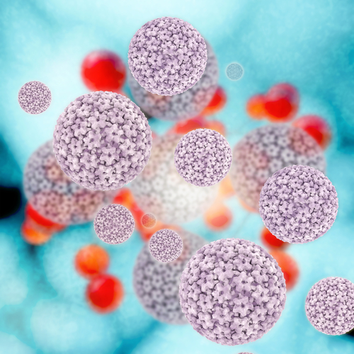 Why Some HPV Infections Go Away and Others Become Cancer 2 3D rendered illustration of the papilloma virus. (Source: Shutterstock)