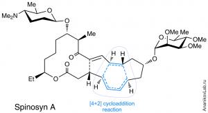 Doing the impossible: enzyme-catalyzed Diels-Alder reaction 3 Assembling the molecule of Spinosyn A over the Diels-Alder reaction core. Copyright : Ananikov Laboratory (AnanikovLab.ru)