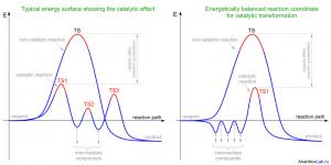Doing the impossible: enzyme-catalyzed Diels-Alder reaction 4 Reaction path for a typical catalytic reaction (left) and new catalytic pathway proposed in the present study (right). Copyright : Ananikov Laboratory (AnanikovLab.ru)
