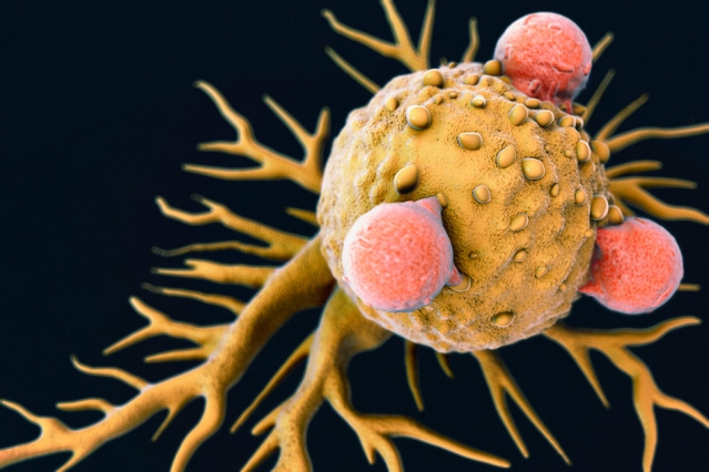 Recruiting the entire immune system to attack cancer 2 MIT-BetterImmuno-01 (1)