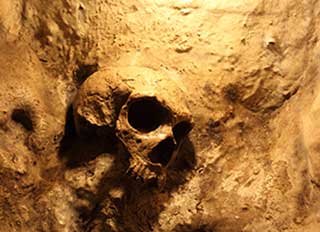 Oldest Ever DNA Sample from Calcified Neanderthal Man 2 Source: Shutterstock
