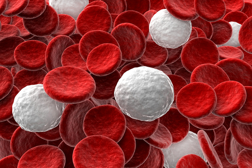 Shining a New Light on the Immune System 2 (Image: Shutterstock)