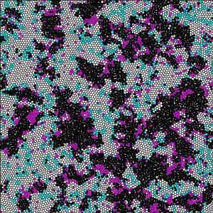 Snapshot of correlation of particle structure and dynamics at density of 0.97. Disks are colored according to the following criteria: white, low mobility and high order; black, high mobility and low order; cyan, low mobility and low order; and magenta, high mobility and high order. Copyright : © 2015 John Russo, Hajime Tanaka.