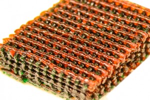 Photo shows the open lattice of 3-D printed material, with materials having different characteristics of strength and flexibility indicated by different colors. Courtesy of the researchers