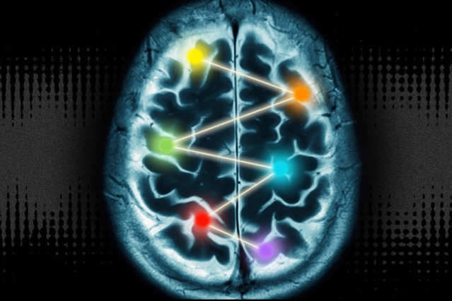 Uncovering a dynamic cortex 2 Illustration: Christine Daniloff/MIT