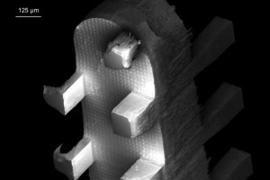 Unlocking nanofibers’ potential 2 A scanning electron micrograph of the new microfiber emitters, showing the arrays of rectangular columns etched into their sides. Courtesy of the researchers