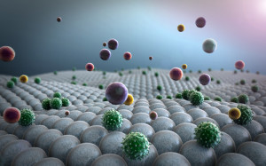 ddd1506_immune_system