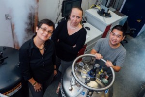 Nonmagnetic elements form unique magnet 3 Rice University researchers (from left) Emilia Morosan, Eteri Svanidze and Jiakui Wang revealed their discovery of the first itinerant antiferromagnet. (Credit: Jeff Fitlow/Rice University)