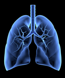 Nanoparticles Used to Breach Mucus Barrier in Lungs 2 shutterstock_163438811