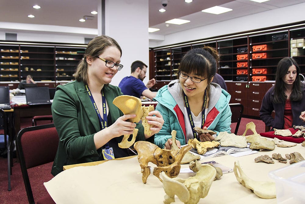 FOSSIL TROVE ADDS A NEW LIMB TO HUMAN FAMILY TREE 3 Hawks_Homo_naledi15_15