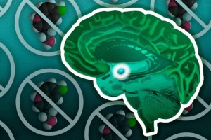 Possible new weapon against PTSD 2 This illustration shows a brain with the amygdala highlighted in the center. In the background are models of the serotonin molecule. Illustration: Jose-Luis Olivares/MIT