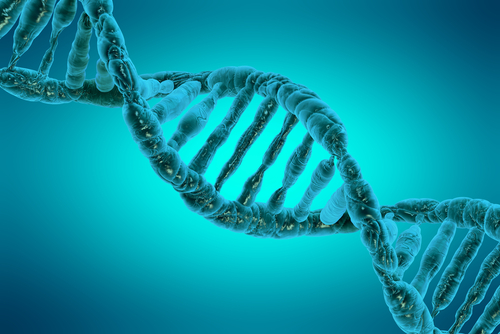 Now a Single Vaccine Could Sterilize Large Invasive Species Populations 2 bt1510_DNA