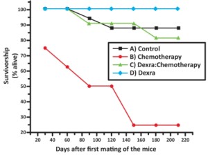 Drug protects fertility and many prolong life in chemo- threated mice 4 Survivorship Graph (credit Sana Salih)