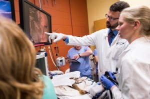 From left: Terri Gregson, certified veterinary technician; Lily Parkinson, veterinary medicine resident; and Christoph Mans, clinical assistant professor and a board-certified specialist in zoo medicine examine images transmitted by the endoscope.
