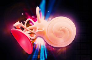 shutterstock_325063034