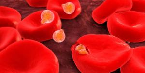 An easier path to treat malaria 3 Drug developments need to keep up with the constantly evolving parasites that cause malaria Copyright : © Stocktrek Images, Inc. / Alamy Stock Photo