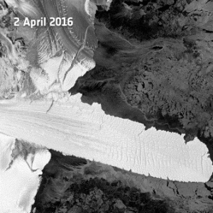 Nansen give birth to two icebergs 2 Birth of two icebergs
