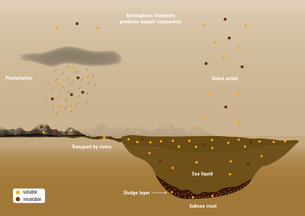 Profile of a methane sea on Titan 4 Organic compounds in Titan’s seas and lakes