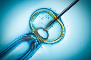 In vitro fertilization, IVF macro concept.