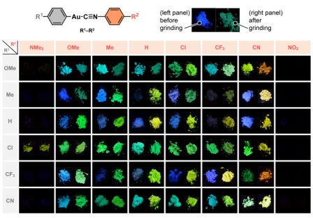 Changing colours of light 2 48 organic compounds containing gold atoms, or gold(I) isocyanide complexes. 28 of the compounds were found to be mechanochromic, emitting changing colours. Compounds before and after mechanical stimulation are shown on the left and right in each panel, respectively. Source : Seki T., Takamatsu Y., Ito H., Journal of the American Chemical Society