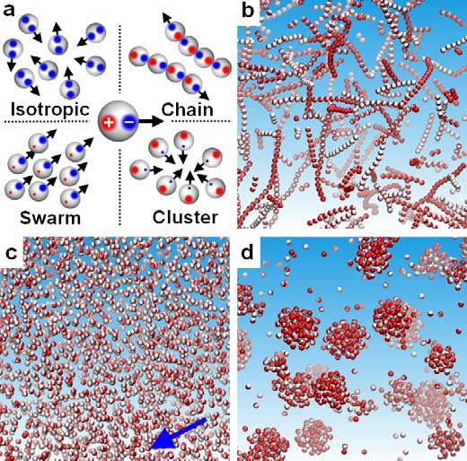 Self-organizing Smart Materials that Mimic Swarm Behavior 2 Janus colloids with equal-and-opposite charges attract one another into connected, dynamic chains. Source : UNIST