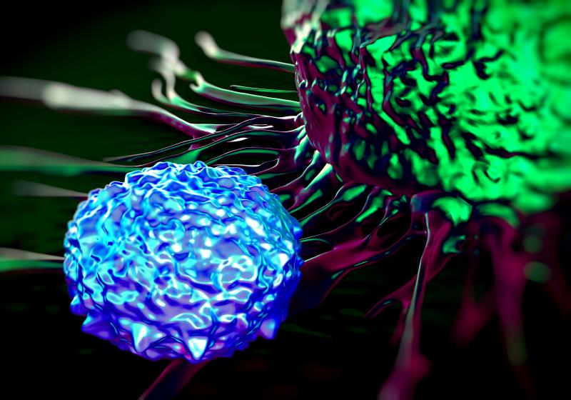 Juno Therapeutics Cancer Drug Trial Allowed to Continue 2 T cells attacking cancer cell