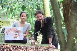 New ant species Paratopula bauhinia (Golden Tree Ant) described from Hong Kong by HKU biologists 3 Ms Ying Luo and Dr Guénard at the Lung Fu Shan Lung site where the Golden Tree Ant was first discovered. Source : The University of H