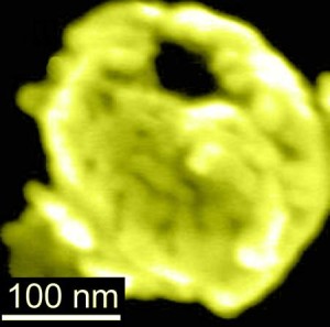 Electron microscopy image of a gold-coated magnetic nanobowl. Source: UCSD