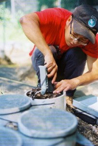 Jiangxiao Qiu measures soil conditions in samples containing invasive Asian jumping worms. The worms eat faster than European species, clearing leaf litter from the forest floor. (Photo courtesy Jiangxiao Qiu)