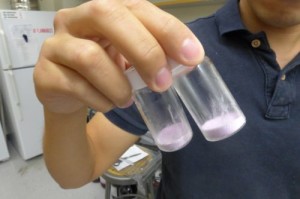 Vials containing freeze-dried samples of Triolimus, a drug being developed by Co-D Therapeutics.