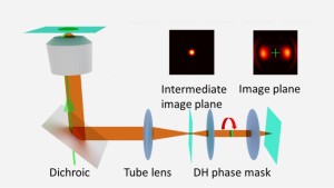 A schematic shows a Rice University technique called super temporal resolution microscopy, which acquires faster molecular movies without needing a faster camera. A spinning "double helix" phase mask turns the single-point image of a molecule into barbell-shaped lobes that change angle depending on the time the image is captured. A molecule may be captured multiple times in a single image. (Credit: Landes Research Group/Rice University)