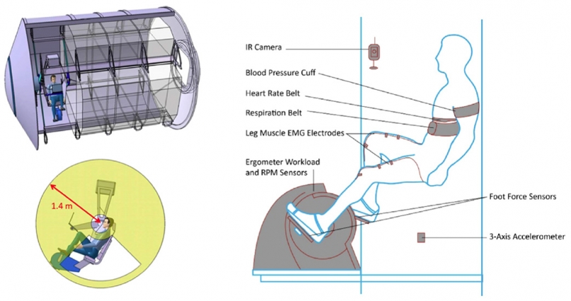 Working out in artificial gravity