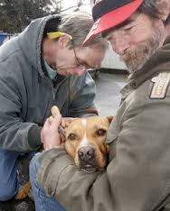 Reaching the homeless by caring for pets