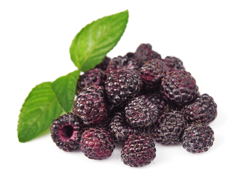 Black Raspberries-three times richer in…