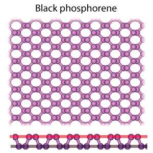 Understanding how flat phosphorus grows