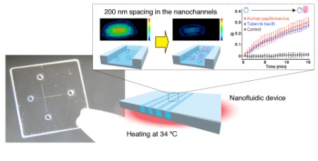 Novel Nanoscale Detection of Real-Time DNA Amplification Holds Promise for Diagnostics