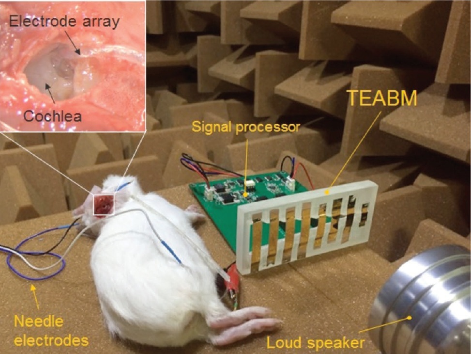 Brand-new Cochlear Implant Technology Born from Frictional Electricity