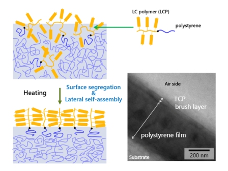 Self-Assembly of Photoresponsive Polymer Brushes to Realize Advanced Surfaces