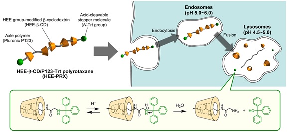 A chain of life for a rare neurodegenerative disease