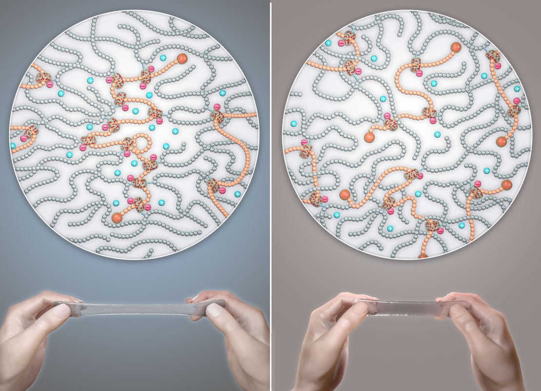 Improving the Mechanical Properties of Polymer Gels through Molecular Design