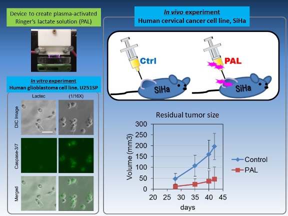 Anti-Tumor Effect of Novel Plasma Medicine Caused by Lactate