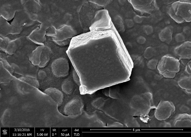 Decoding cement’s shape promises greener…