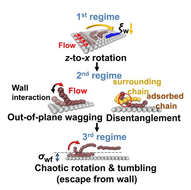 Identification of Molecular Origins Underlying the Interfacial Slip